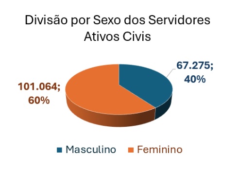 estatisticas 2025 (1)