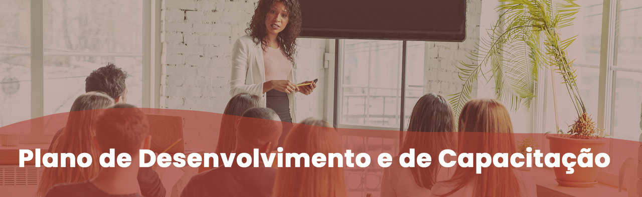 Plano-de-desenvolvimento-capacitacao